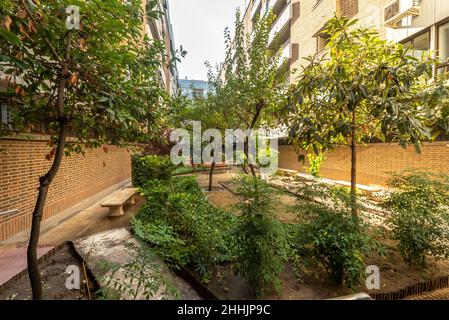 Giardino interno all'interno delle aree comuni di uno sviluppo urbano residenziale Foto Stock