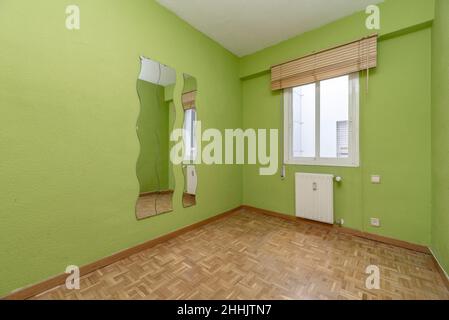 Soggiorno residenziale con pareti dipinte di verde, specchi e radiatore in acciaio bianco Foto Stock