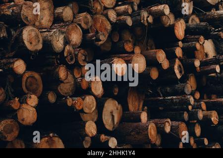 Cumulo di legno asciutto marrone scuro tronchi impilati insieme con superficie ruvida e crepe in campagna Foto Stock