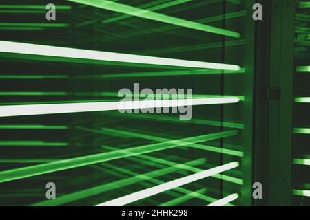 Maat Museum Light Show art Foto Stock