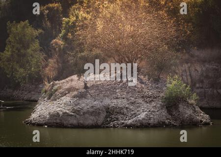 Deir El Qamar villaggio bellissimo paesaggio verde e vecchia architettura nel monte Libano Medio Oriente Foto Stock