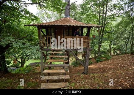 Lontano irriconoscibile persona in piedi in casa albero con scala di legno situato tra piante verdi nella natura delle Asturie in Spagna Foto Stock