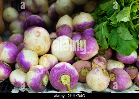 Radici di rapa esposte per la vendita alla greengrocery Foto Stock