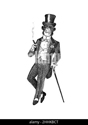 Scimmia alla moda in abiti. Uomo antico che fuma un sigaro. Victorian Antica retrò Abbigliamento. Un uomo in abito. Stile incisione vintage. Mano Illustrazione Vettoriale