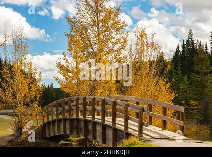 Paesaggio autunnale di una foresta e ponte di legno. Cascade Stagni e ponte in legno nella foresta autunnale, Banff, Alberta, Canada Foto Stock