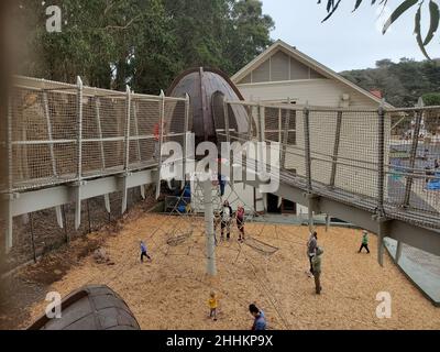 Gumnut Grove, struttura per arrampicata all'aperto presso il Bay Area Discovery Museum, museo per bambini poco dopo l'apertura della mostra, Sausalito, California, 18 settembre 2021. Foto di cortesia Sftm. Foto Stock