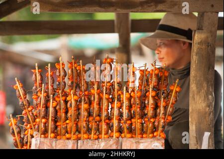 Venditore ambulante w/ BBQ o grigliate di rane in vendita su Hwy 2, provincia di Takeo, Cambogia. Credito: Kraig Lieb Foto Stock