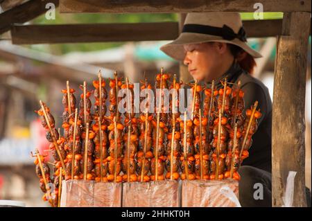 Venditore ambulante w/ BBQ o grigliate di rane in vendita su Hwy 2, provincia di Takeo, Cambogia. Credito: Kraig Lieb Foto Stock