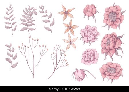 Set di fiori disegnati a mano. Peonie, rose e ramo con foglie. Prelievo primaverile. Illustrazioni vettoriali floreali. Isolato su sfondo bianco. Illustrazione Vettoriale