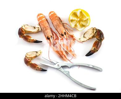 sgoustine fresche in studio Foto Stock