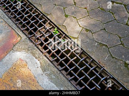 Scaricare l'acqua sul pavimento nel parco pubblico, Minas Gerais, Brasile Foto Stock