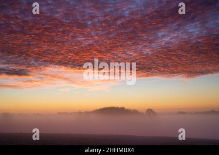 Cielo rosso d'inverno e nebbia poco prima dell'alba nella gelida campagna del cotswold. Hampnet, Cotswolds, Gloucestershhire, Inghilterra Foto Stock