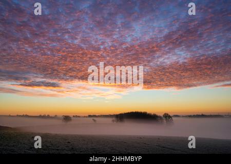 Cielo rosso d'inverno e nebbia poco prima dell'alba nella gelida campagna del cotswold. Hampnet, Cotswolds, Gloucestershhire, Inghilterra Foto Stock