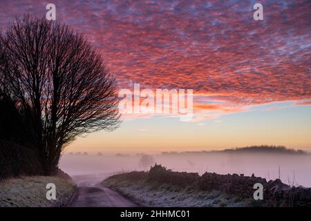 Cielo rosso d'inverno e nebbia poco prima dell'alba nella gelida campagna del cotswold. Hampnet, Cotswolds, Gloucestershhire, Inghilterra Foto Stock