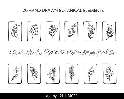 Set di foglie e ramoscelli bianchi e neri disegnati a mano, rami fantasy. Collezione di tag eco-naturali isolati, etichette, elementi fantasy design Illustrazione Vettoriale