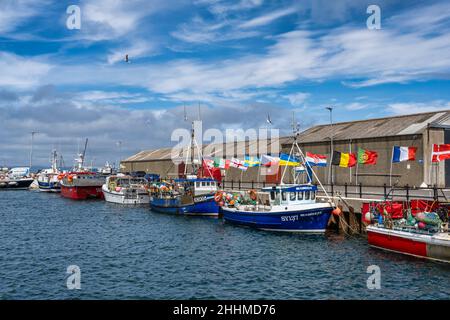 Barche da pesca legate sulla banchina del porto di Kirkwall a Kirkwall a Orkney, Scozia Foto Stock