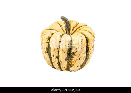 Zucca verde matura isolata su sfondo bianco. Squash intero, elemento decorativo tradizionale festivo per Halloween o Thanksgiving Foto Stock