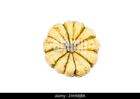 Zucca verde matura isolata su sfondo bianco. Squash intero, elemento decorativo tradizionale festivo per Halloween o Thanksgiving Foto Stock