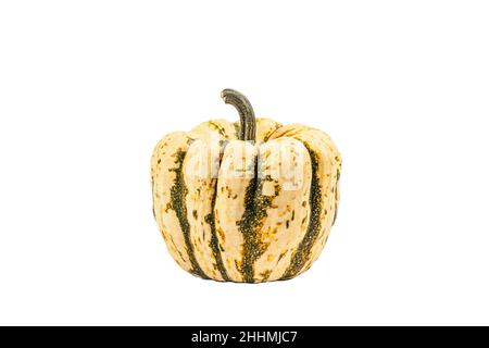 Zucca verde matura isolata su sfondo bianco. Squash intero, elemento decorativo tradizionale festivo per Halloween o Thanksgiving Foto Stock