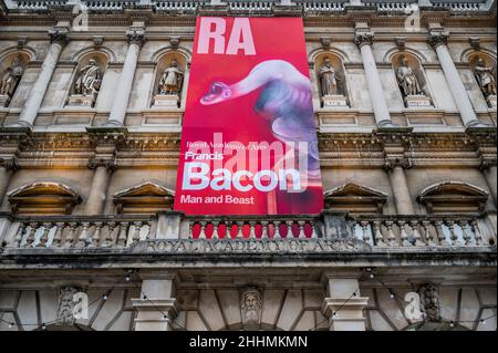 Londra, Regno Unito. 25th Jan 2022. Francis Bacon: Uomo e bestia alla Royal Academy of Arts di Londra. E' la prima mostra a tracciare lo sviluppo del lavoro dell'artista attraverso la lente del suo fascino con gli animali. Include 46 dipinti che coprono la sua carriera e corre dal 29 gennaio al 17 aprile 2022 credito: Guy Bell/Alamy Live News Foto Stock