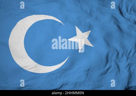 Primo piano dell'intero fotogramma su un flag di Uyghur ondulato nel rendering 3D. Foto Stock