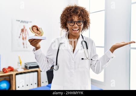Giovane dottore afroamericano con modello anatomico di utero femminile con feto che celebra il successo con felice sorriso e vincitore expressio Foto Stock