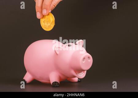 Digital Bitcoin Piggy Coin banca di salvataggio concetto: Mano umana che tiene Golden BTC cripto sopra rosa giocattolo plastica maialino scatola di denaro. Sfondo nero per il texting Foto Stock