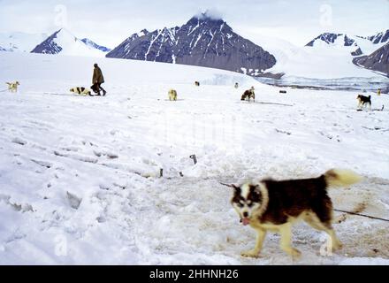 Stonnington base Antartica britannica con il cane slitta squadra Antartide 1972 Foto Stock