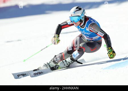 Kronplatz, Italia, 25/01/2022, 25th gennaio 2022: Audi FIS Ski World Cup Donna Giant Slalom a Plan de Corones, Italia; l'ultima gara di sci alpino femminile prima dei Giochi Olimpici invernali di Pechino 2022. In azione durante la prima corsa, Ragnhild Mowinckel (NOR) Credit: Action Plus Sports Images/Alamy Live News Foto Stock