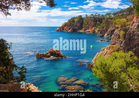 Vista delle scogliere della costa di Calella de Palafurgell dal sentiero che la costeggia, Costa Brava, Catalogna, Spagna Foto Stock