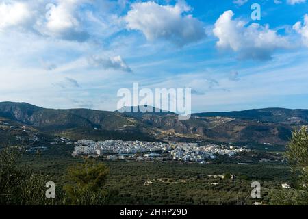 Mattinata, Puglia, Italia: Immagine panoramica della città circondata da ulivi Foto Stock