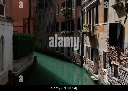 Vedute di Venezia durante il blocco causato dalla malattia del coronavirus. Venezia, 17 maggio 2020. Foto Stock