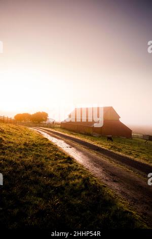 Red Barn in fattoria a Petaluma, California Foto Stock