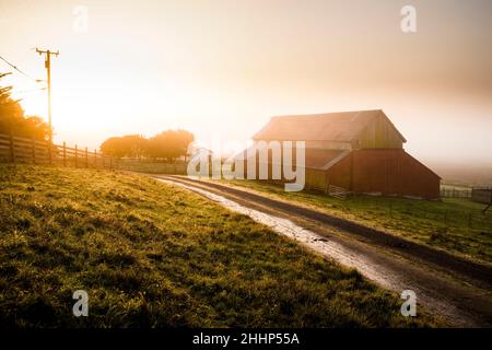 Red Barn in fattoria a Petaluma, California Foto Stock