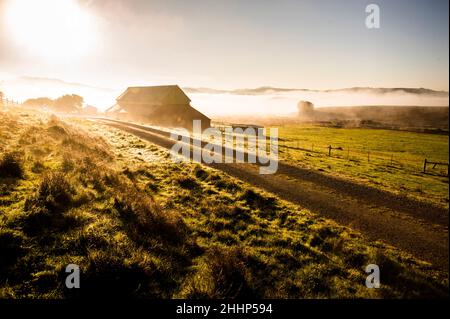 Fienile in fattoria a Petaluma, California Foto Stock