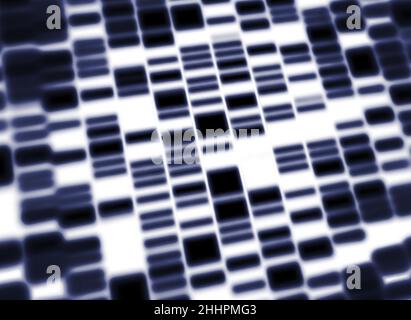 Un Western blot, test genetico, screening per geni o proteine Foto Stock