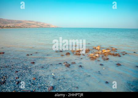 Il mare di Galilea al mattino, Israele Foto Stock