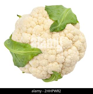 Percorso di cavolfiore isolato su bianco vista superiore Foto Stock