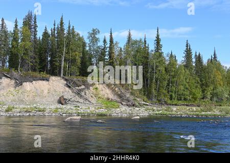 Viaggia lungo i fiumi degli Urali Circumpolari. Paesaggio estivo del fiume settentrionale della regione degli Urali in Russia. Foto Stock