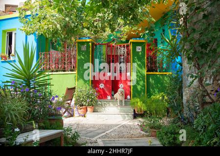 Tradizionale casa colorata e strade in Koskinou Rhodes Grecia con il cane di fronte Foto Stock