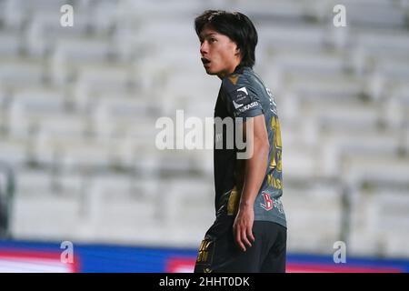 ANVERSA, BELGIO - GENNAIO 25: Daichi Hayashi di Sint-Truidense VV durante la partita della Jupiler Pro League tra il Royal Antwerp FC e Sint-Truidense VV al Bosuilstadion il 25 Gennaio 2022 ad Anversa, Belgio (Foto di Jeroen Meuwsen/Orange Pictures) Foto Stock