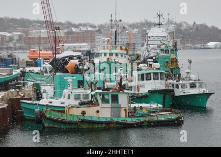 Dominion Diving vanta nel porto di Dartmouth in una giornata di neve Foto Stock