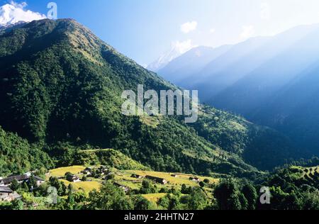 Vista del villaggio di Ghandruk con Machapuchare montagna sullo sfondo, regione Annapurna, Nepal Foto Stock