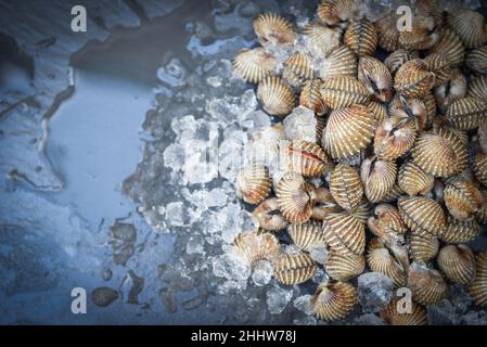 Cockles su sfondo di ghiaccio, pesce fresco crudo crostacei sangue cockle oceano gourmet di pesce nel ristorante Foto Stock