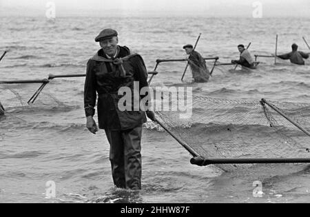 Il pescatore di Annan ha visto la pesca del Solway Firth per il salmone, la trota e la trota di mare da una varietà di metodi- alcuni di cui risalgono ai Charters reali del Burgh del 1538 e del 1612. I pescatori utilizzano reti fisse dette Poke, Stake o Haaf per la pesca a rete. La nostra foto mostra gli uomini che usano le reti haaf nelle baracche del Solway Firth. Agosto 1947 Foto Stock