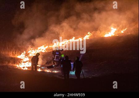 Sparrograda, West Cork, Irlanda. 25th Jan 2022. Quattro unità della Brigata del fuoco della contea di Cork sono state chiamate fuori ad un grande fuoco di gorse la notte scorsa a Sparrograda, fra Ballydehob e Bantry. Alla sua altezza, il fronte antincendio era largo 1km ma si spegneva intorno alla mezzanotte. Credit: AG News/Alamy Live News Foto Stock