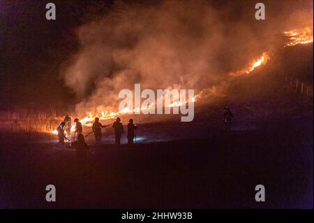 Sparrograda, West Cork, Irlanda. 25th Jan 2022. Quattro unità della Brigata del fuoco della contea di Cork sono state chiamate fuori ad un grande fuoco di gorse la notte scorsa a Sparrograda, fra Ballydehob e Bantry. Alla sua altezza, il fronte antincendio era largo 1km ma si spegneva intorno alla mezzanotte. Credit: AG News/Alamy Live News Foto Stock