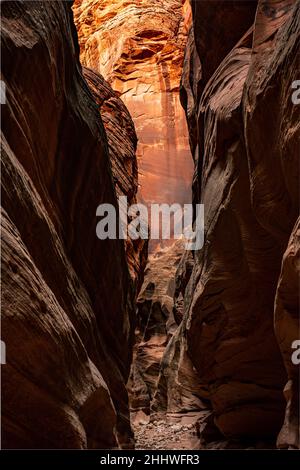 Il bellissimo muro di arenaria illumina Orange alla fine del corridoio di slot Canyon a Buckskin Gulch Foto Stock