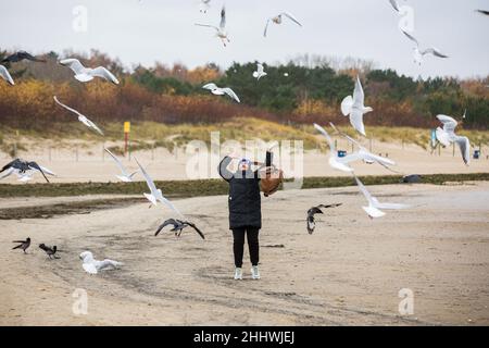 Swinoujscie, Polonia. 17th Nov 2021. Una donna vista sulla spiaggia circondata da numerosi gabbiani. Un faro bianco a forma di mulino a vento è un simbolo di Swinoujscie ed è parte del logo ufficiale della città. Il Porto di Swinoujscie è un porto marittimo polacco sul Mar Baltico. Insieme al porto di Szczecin, crea uno dei più grandi complessi portuali del Mar Baltico. (Foto di Karol Serewis/SOPA Images/Sipa USA) Credit: Sipa USA/Alamy Live News Foto Stock