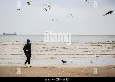 Swinoujscie, Polonia. 17th Nov 2021. Una donna ha visto camminare sulla spiaggia circondata da numerosi gabbiani. Un faro bianco a forma di mulino a vento è un simbolo di Swinoujscie ed è parte del logo ufficiale della città. Il Porto di Swinoujscie è un porto marittimo polacco sul Mar Baltico. Insieme al porto di Szczecin, crea uno dei più grandi complessi portuali del Mar Baltico. (Foto di Karol Serewis/SOPA Images/Sipa USA) Credit: Sipa USA/Alamy Live News Foto Stock